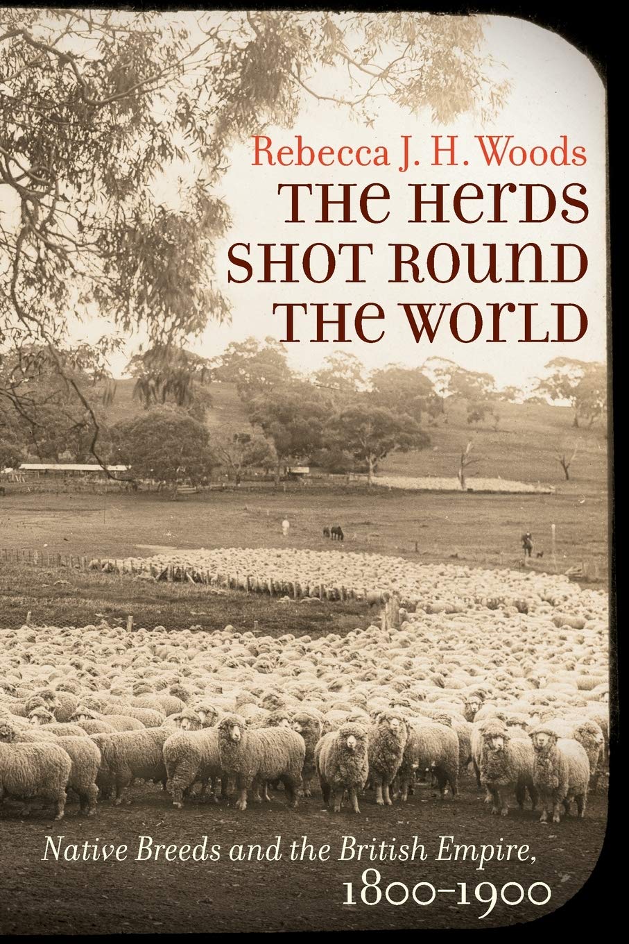 The Herds Shot Round The World